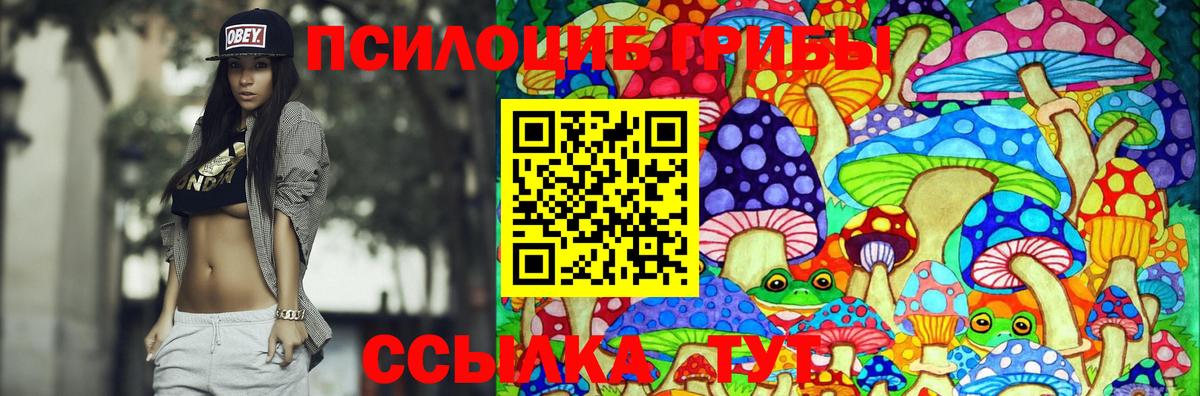 Кемерово  Псилоцибиновые грибы Psilocybine cubensis  Вход с VPN 