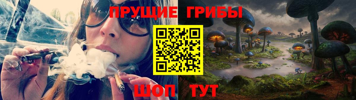 Псилоцибиновые грибы GOLDEN TEACHER Кемерово